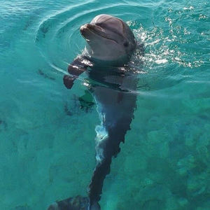 Meet your Posher, Camila